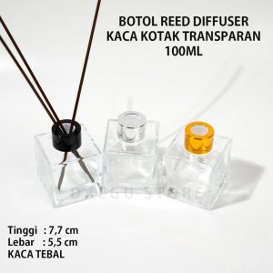 Botol Reed Diffuser Aromaterapi 100ml (DAEGU3)